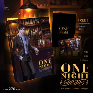 One Night รักคืนเดียว