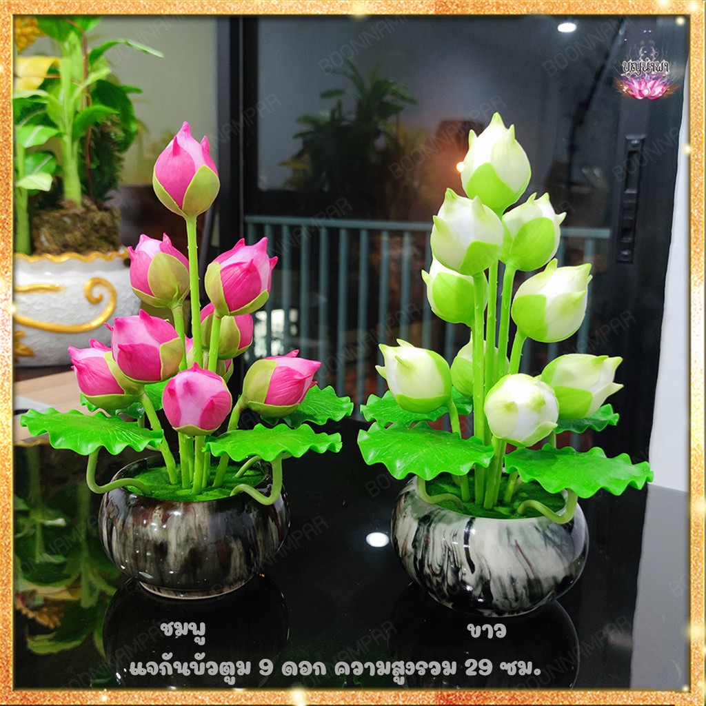 My Image 7