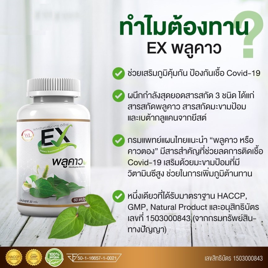 ٤EX Ҵ 60 ᤻ | Shopee Thailand