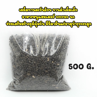 เมล็ดทานตะวันล้วน 500g. เม็ดเล็ก สำหรับสัตว์ อาหารหนูแฮมเตอร์ กระรอก นก บำรุงสายตา ช่วยขับถ่าย ช่วยเสริมสร้างภูมิคุ้มกัน