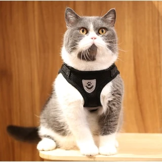 AL-122 เสื้อรัดอกหมา สุนัข สายจูงแมว สายจูงสัตว์เลี้ยง สายรัดอก ผ้าระบายอากาศ 🔥 พร้อมส่ง 🔥