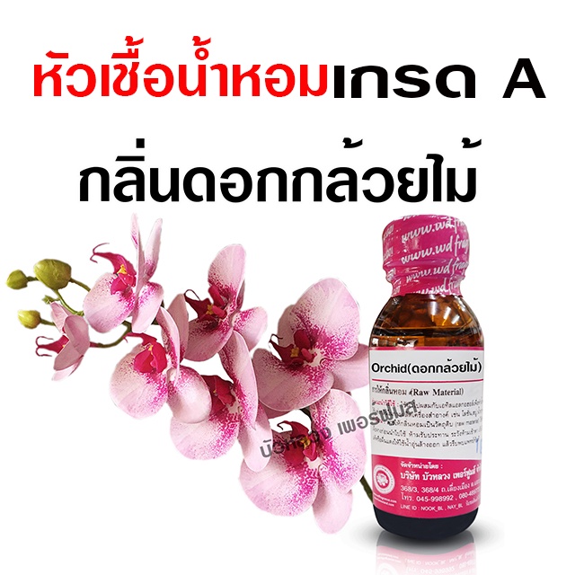 หัวเชื้อน้ำหอม 100% กลิ่นกล้วยไม้ 30 ml.หอมดอกไม้ {{ พร้อมส่ง }} - Bualuang Perfume