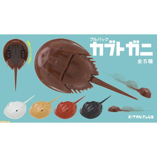 (Gachapon) แมงดาทะเลวิ่งได้ - Pullback horseshoe crab プルバックカブトガニ