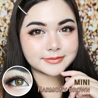 mini Harmony Brown (1) มินิ น้ำตาล ทรีโทน โทนแบ๊ว Kitty Kawaii เลนส์พรีเมี่ยม ค่าอมน้ำสูง Bigeyes คอนแทคเลนส์ ค่าสายตา