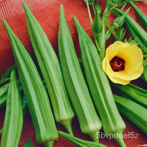 20PCS Okra seeds Clemson Spineless Okra Super healthy vegetable seedsพาสต้า/กางเกง/เมล็ด/บ้านและสวน/