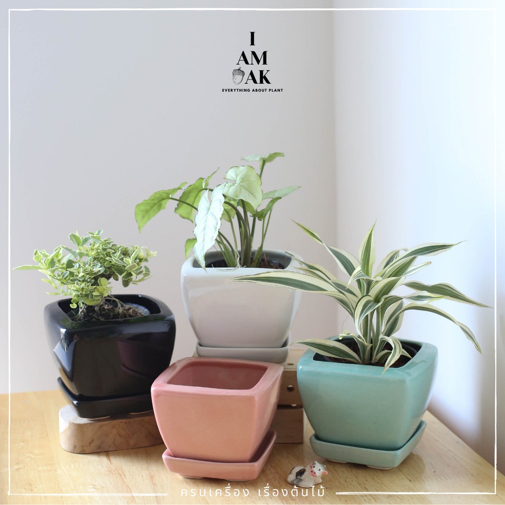 มุมมอง 2