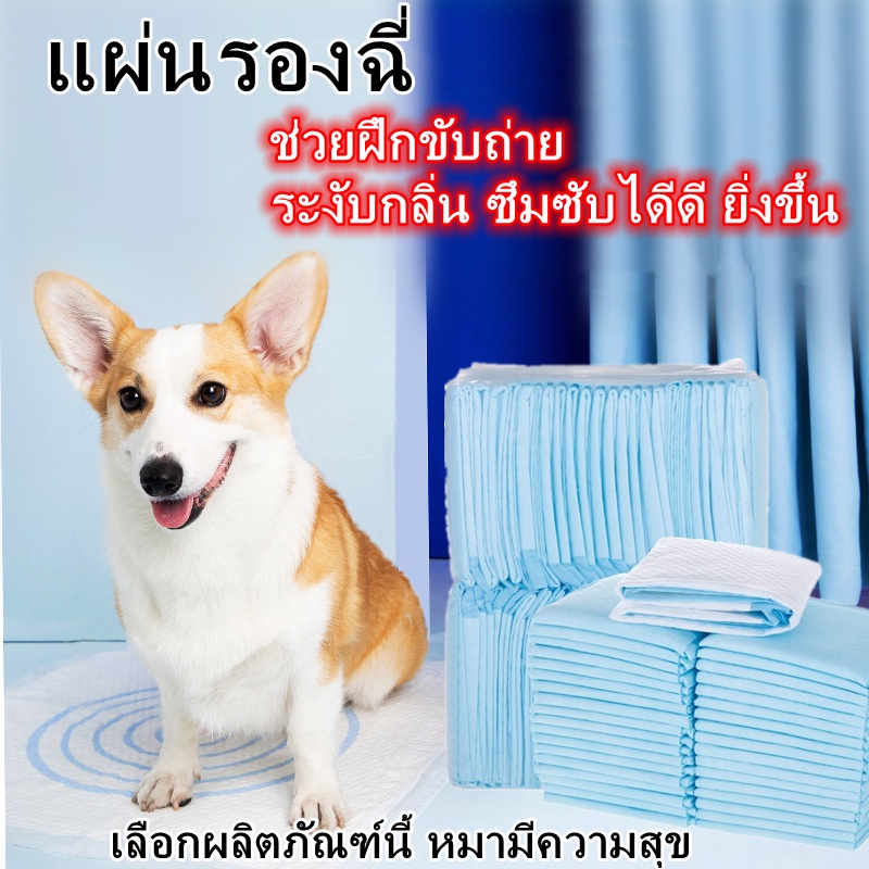 แผ่นรองฉี่ แผ่นรองฉี่แมว แผ่นรองฉี่สุนัข ช่วยฝึกขับถ่าย ระงับกลิ่น ซึมซับไดีดี ยิ่งขึ้น