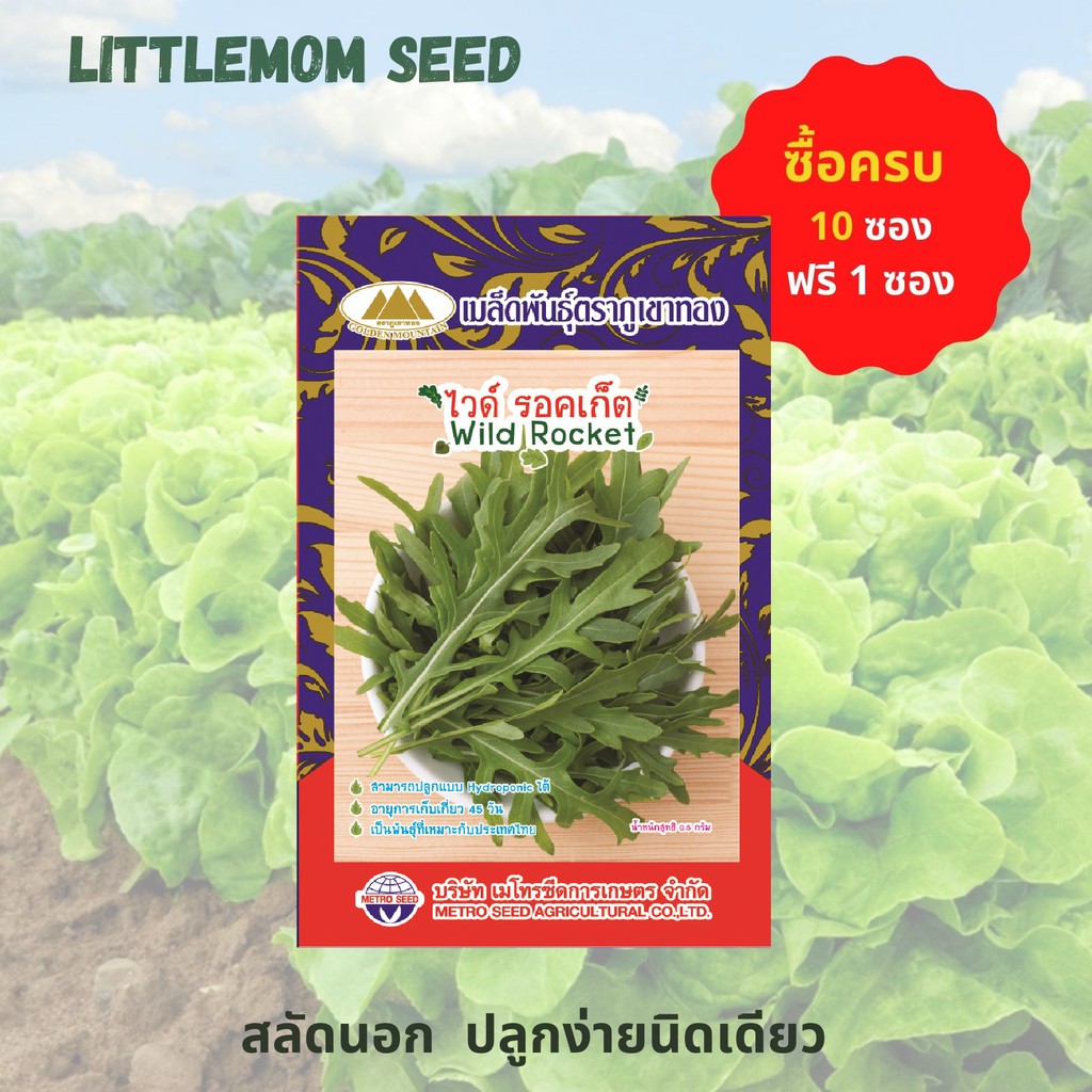 เมล็ดไวด์ รอคเก็ต ภูเขาทอง 0.5 กรัม