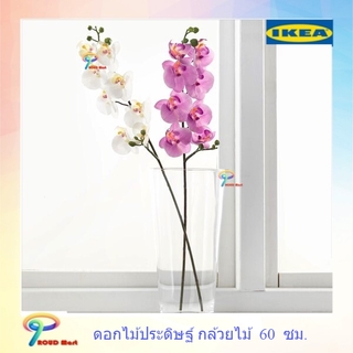 IKEA ต้นไม้ปลอม ไม้ประดิษฐ์ ดอกไม้ปลอม ดอกไม้ประดิษฐ์, กล้วยไม้, ชมพู, ขาว 60 ซม.