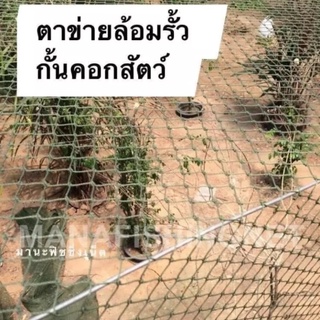 ตาข่ายป้องกันงูหลามกินเป็ดไก่นก