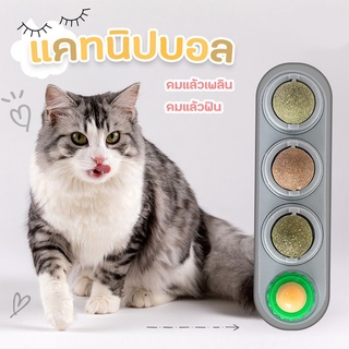 【ถูกที่สุด】😺 แคทนิปบอล 3 ลูก สมุนไพรแมว​ ลูกบอลแมวเลีย ขนมแมวเลีย ติดผนัง หญ้าแมวบอลสมุนไพร