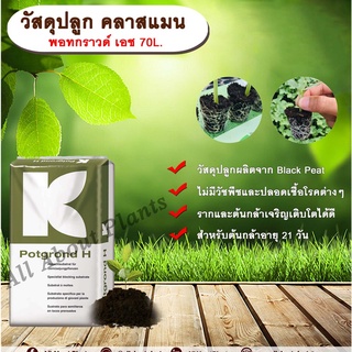 วัสดุปลูก คลาสแมน พอทกราวด์ เอช 70L. แบล็คพีท พีทมอส ดินเพาะ วัสดุเพาะกล้า ดินเพาะต้นกล้า (1คำสั่งซื้อ/1ออเดอร์)