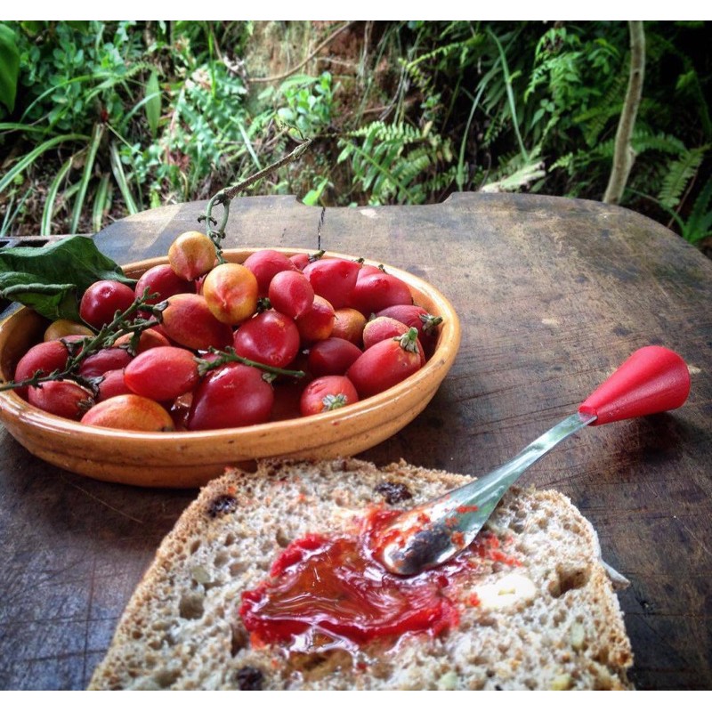 ต้นพีนัทบัตเตอร์  ต้นเนยถั่ว - รูปที่ 5