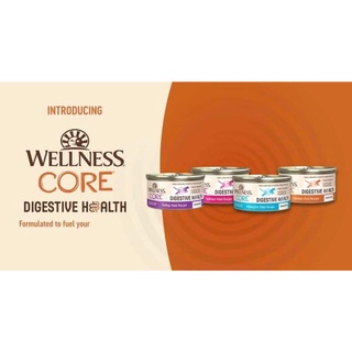 *พร้อมส่ง 4 สูตร (85 g) บำรุงลำไส้ ระบบขับถ่าย Wellness Core Digestive Health Wet Cat Food