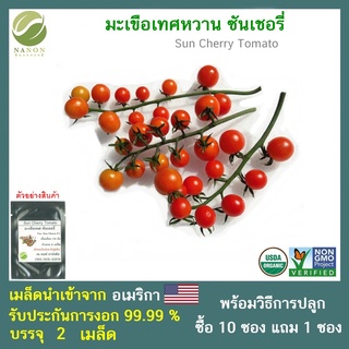 เมล็ดมะเขือเทศหวาน ซันเชอรี่  จำนวน  2  เมล็ด