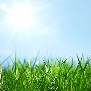 หัวน้ำหอม Fresh cut grass NG วัตถุดิบเครื่องสำอางค์ 004507