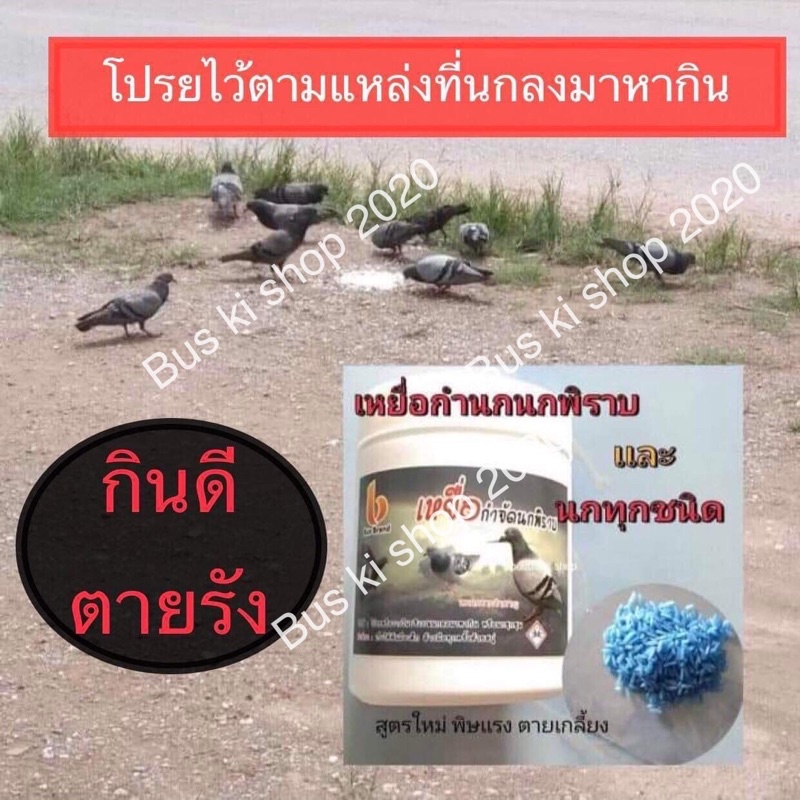 Bus Brand เหยื่อกำจัดนกกินพืช เช่นนกพิราบ นกกระจอก นกกระจิบ ติดเชื้อตายใน1สัปดาห์