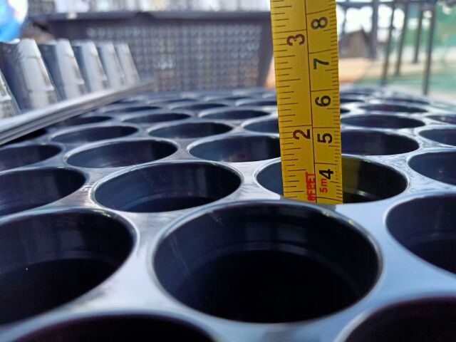 ถาดเพาะ ถาดเพาะกล้า เพาะชำ เพาะเมล็ด ถาดเพาะหลุม กรุณากดสั่งซื้อขั้นต่ำ 2 ถาด 60 หลุม 104 หลุม เพาะปลูก แผงเพาะต้นกล้า