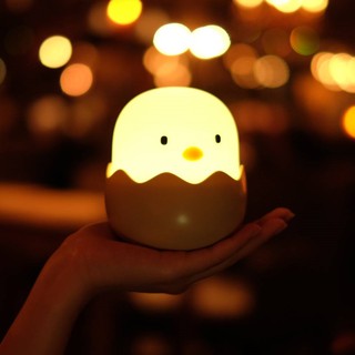 Egg shell lamp โคมไฟไข่ โคมไฟขนาดเล็กรูปไข่