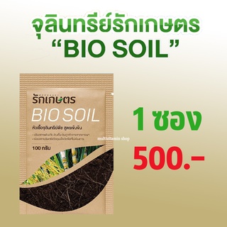 รักเกษตร BIO SOIL ไบโอซอย หัวเชื้อจุลินทรีย์พืช สูตรเข้มข้น ย่อยสลายฟางข้าว บำรุงลึก เร่งราก กำจัดข้าวดีด ข้าวเด้ง แตกกอ