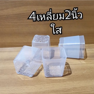 กระถางพลาสติกใส 4เหลี่ยม 2 นิ้ว