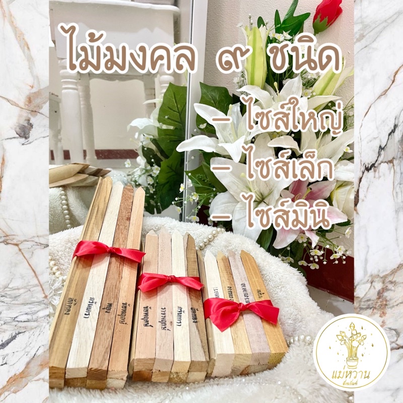 ไม้มงคล 9 ชนิด โรงงานผลิตเอง ถูก!! ส่งเร็ว!! customได้!! ลงเสาเอก ตั้งศาลพระภูมิ ไม้ขึ้นบ้านใหม่ ไม้ปักเสาเอก เสาโท