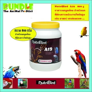 NutriBird A19 800 g. อาหารนกลูกป้อน อาหารลูกป้อน สำหรับลูกนกที่ต้องการพลังงานไขมันสูง ขนาด 800 กรัม