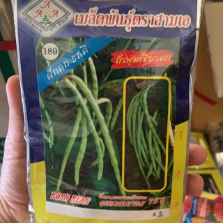 เมล็ดพันธ์ุถั่วพุ่มเขียวดก น้ำหนักสุทธิ5กรัม