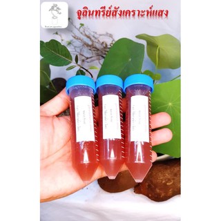 จุลินทรีย์สังเคราะห์เเสงสารสังเคราะห์จากธรรมชาติ