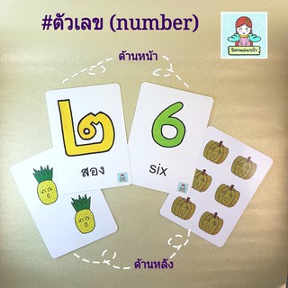 แฟลชการ์ด หมวดตัวเลข(number) คุ้มสุด! มีทั้งเลขไทยและเลขอารบิกในกล่องเดียว