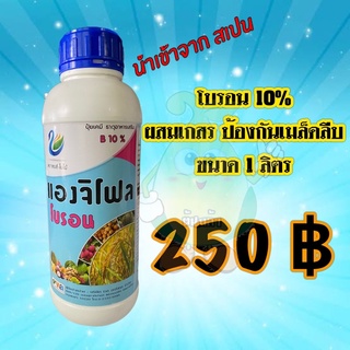 แองจิโฟล โบรอน 10% ช่วยผสมเกสร ป้องกันเมล็ดลีบ เพิ่มน้ำหนักทำให้พืชนำธาตุโพรแทสเซียมและแคลเซียมไปใช้ได้ดีขึ้น ขนาด 1ลิตร