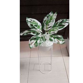 ดอกไม้พลาสติก D18***