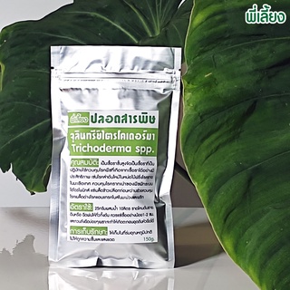 จุลินทรีย์ไตรโคเดอร์มา(Trichoderma spp.) ขนาด150กรัม