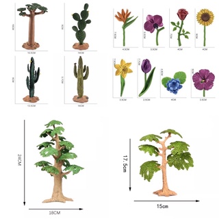 Tree model Sensory play โมเดลต้นไม้ โมเดลดอกไม้ (พร้อมสาง)