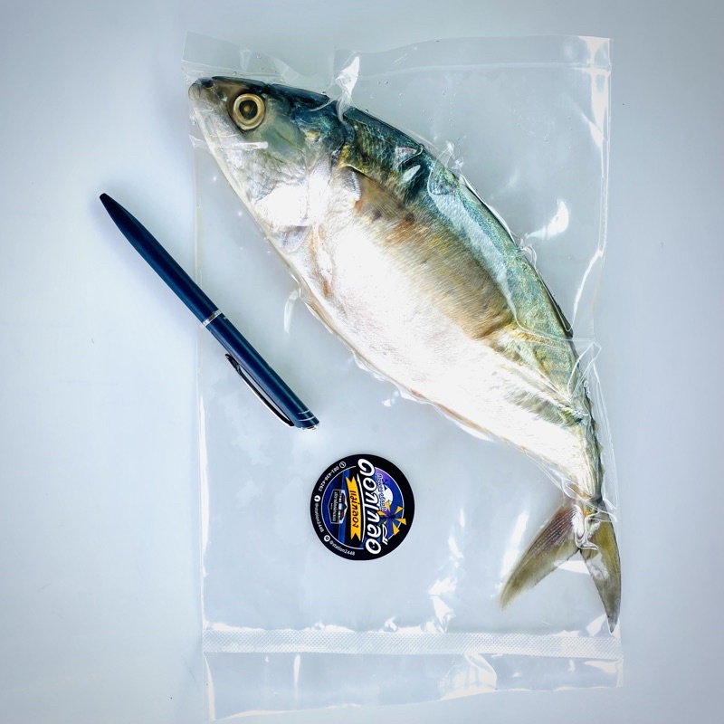 ปลาทูมัน ดอกเกลือ ไซส์ 400-600 กรัม แม่กลองแท้  เค็มน้อย ไร้สารกันเสีย ทำเองค่ะ ปลาสดทำสะอาด ดีต่อสุขภาพ