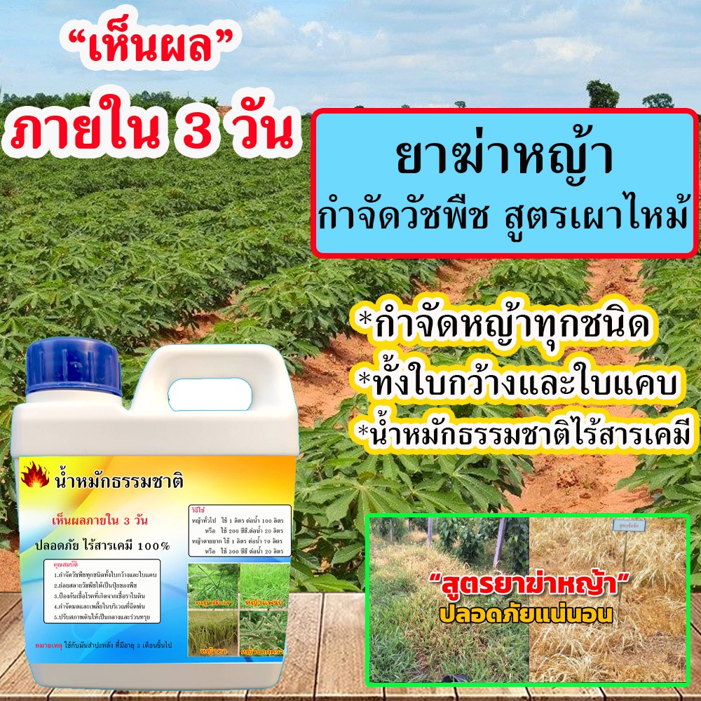 ปลอดภัยต่อสัตว์เลี้ยง🔥(เห็นผลในวัน) กำจัดหญ้า 1ลิตร ชีวภาพไร้สารเคมี ใช้กำจัดวัชพืชทุกชนิด ยาฆ่าหญ้า