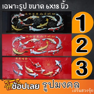 รูปภาพมงคล เสริมฮวงจุ้ย ลายที่1-24(ขายเฉพาะรูปขนาด 6X18นิ้ว)