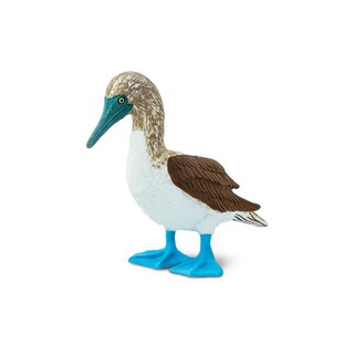 Safari Ltd. : SFR150529 โมเดลนกบูบีเท้าสีฟ้า Blue Footed Booby