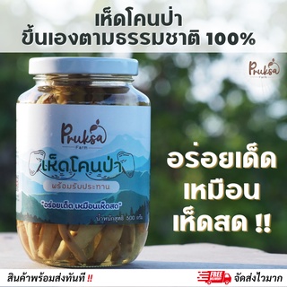 เห็ดโคนป่า พร้อมรับประทาน 1 กระปุก