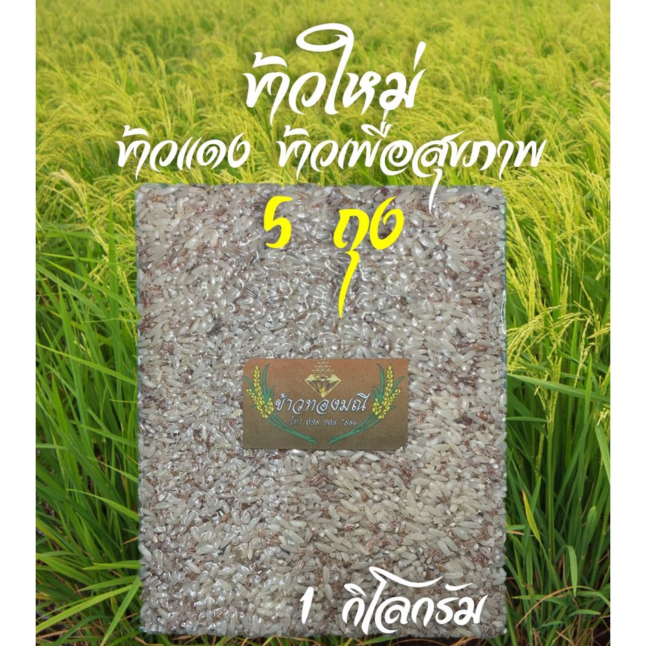 (5 ถุง) ข้าวใหม่ ข้าวแดงมันปูแท้ สุรินทร์ ข้าวน้ำตาลต่ำ ช่วยป้องกันโรคหัวใจ บรรจุถุงซีลสูญญากาศ