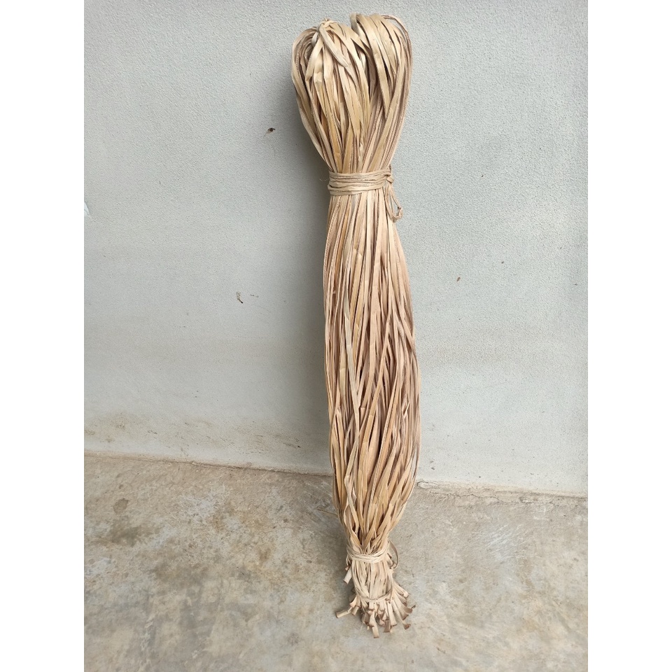 เชือกกล้วยตานี  กล้วยตานี เชือกกล้วยสำหรับมัด หรือ งานสาน งานฝีมือ 500 กรัม ยาว120-180 ซม ประมาณ 110-120 เส้น