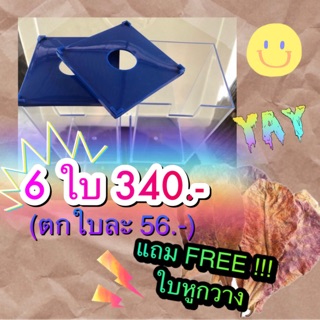 💜โหลปลากัด 6 ใบ แถมฟรี ใบหูกวาง 🍂