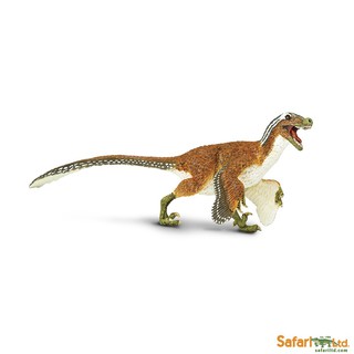 Safari Ltd. : SFR100032 โมเดลไดโนเสาร์ Feathered Velociraptor