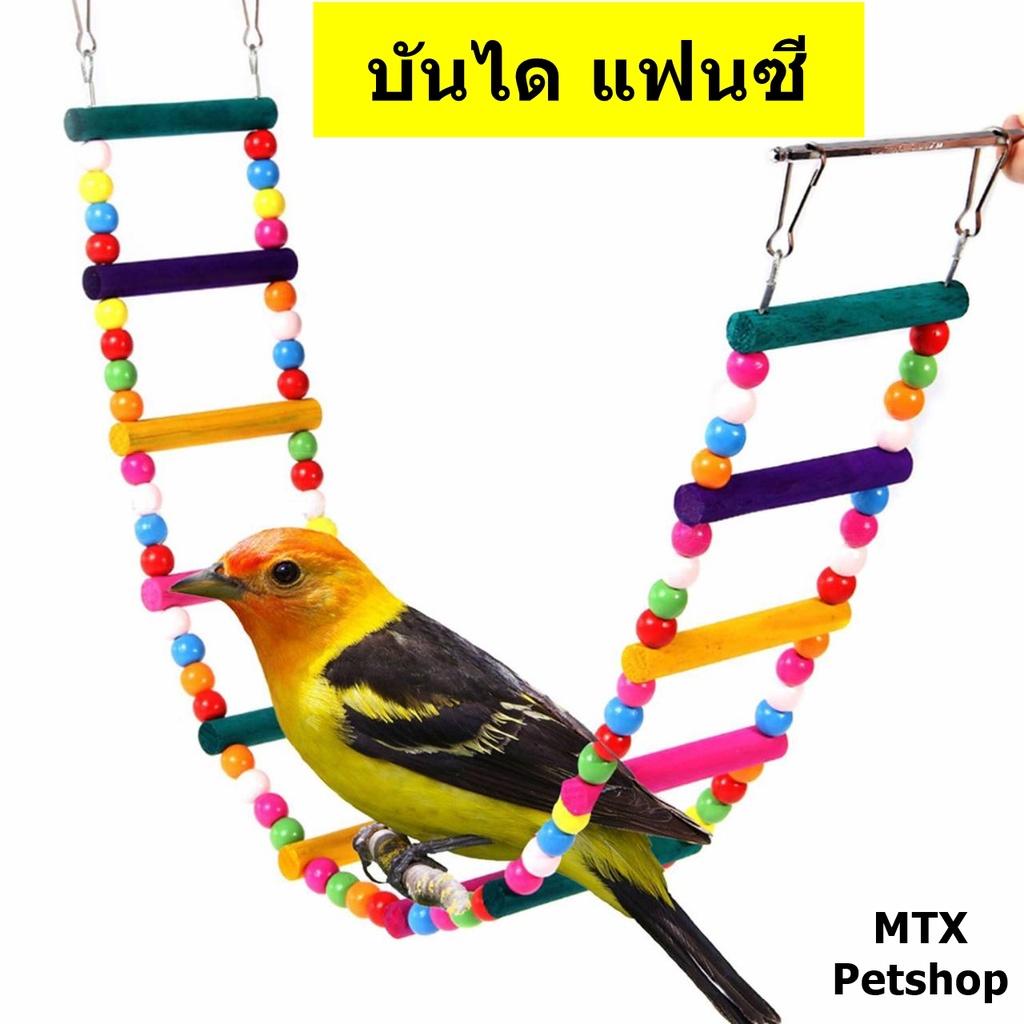 บันไดแฟนซี ชนิดแขวน // ของเล่น ตกแต่งกรง