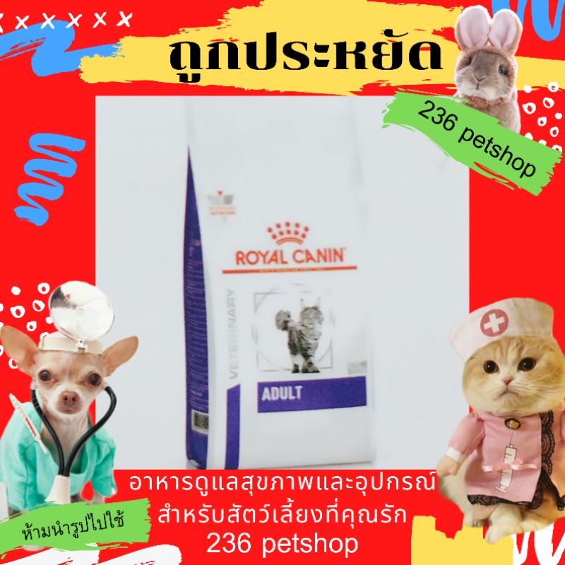 Royal Canin VCN Adult Medium Dog 10 Kg | Hundefutter Für Mittelgroße Hunde