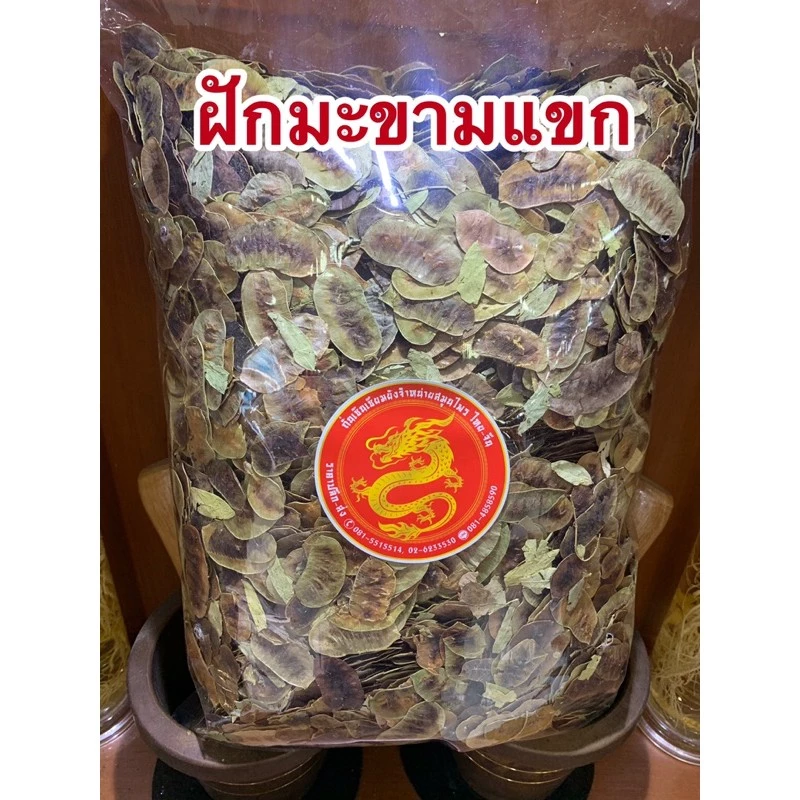 ฝักมะขามแขกเกรดสวย ฝักมะขามแขกคัดพร้อมใช้ได้ทันที บรรจุ1โลราคา110บาท