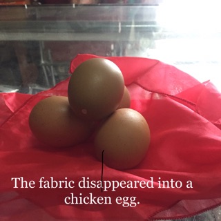 อุปกรณ์การแสดงเสริมมายากล silk to egg https://youtu.be/s6vlH7e1DfI magic tricks