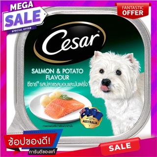 ซีซาร์รสปลาแซลมอนและมันฝรั่ง 100กรัม Salmon and Potato Caesar 100g.