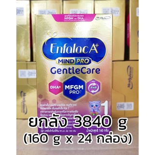 3840 กรัม- ยกลัง ENFALAC Gentle Care สูตร1 ขนาด 160 กรัม x 24 กล่อง - เอนฟาแล็ค เจนเทิลแคร์ Enfa GentleCare เอนฟา เอพลัส