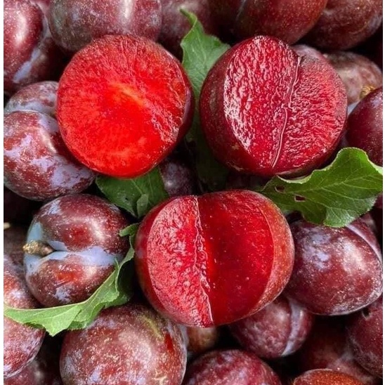 🍒 ลูก​พลัม​ ลูกไหนเนื้อแดง ปลอดสาร คละไซส์ 1 กก.ผลไม้สด จากดอยอ่างขาง เชียงใหม่